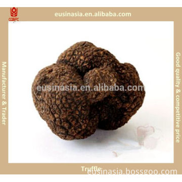 Tuber indicum/truffle with frozen dried fresh style